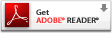 adobe icon